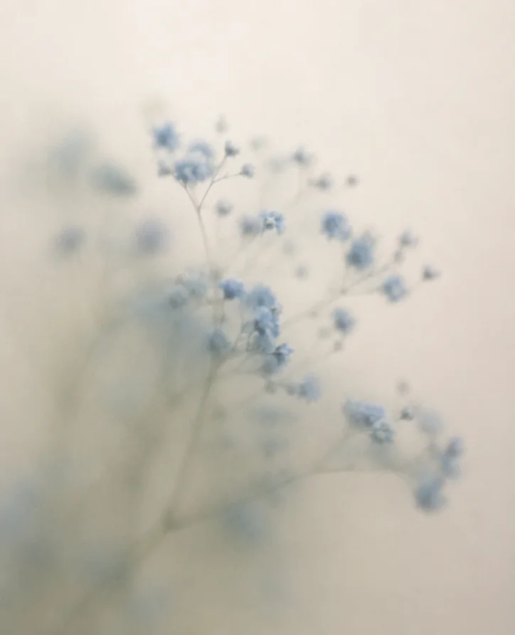 淡い青の小花