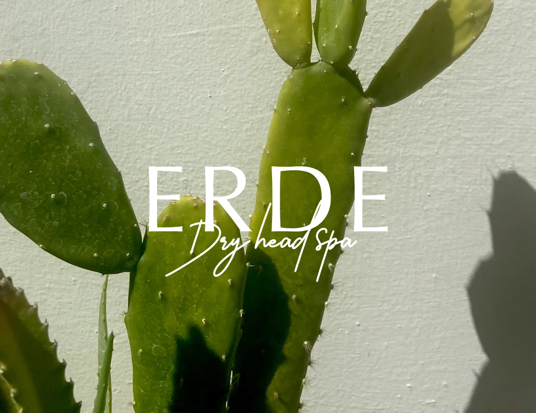 ERDE DRY の施術風景